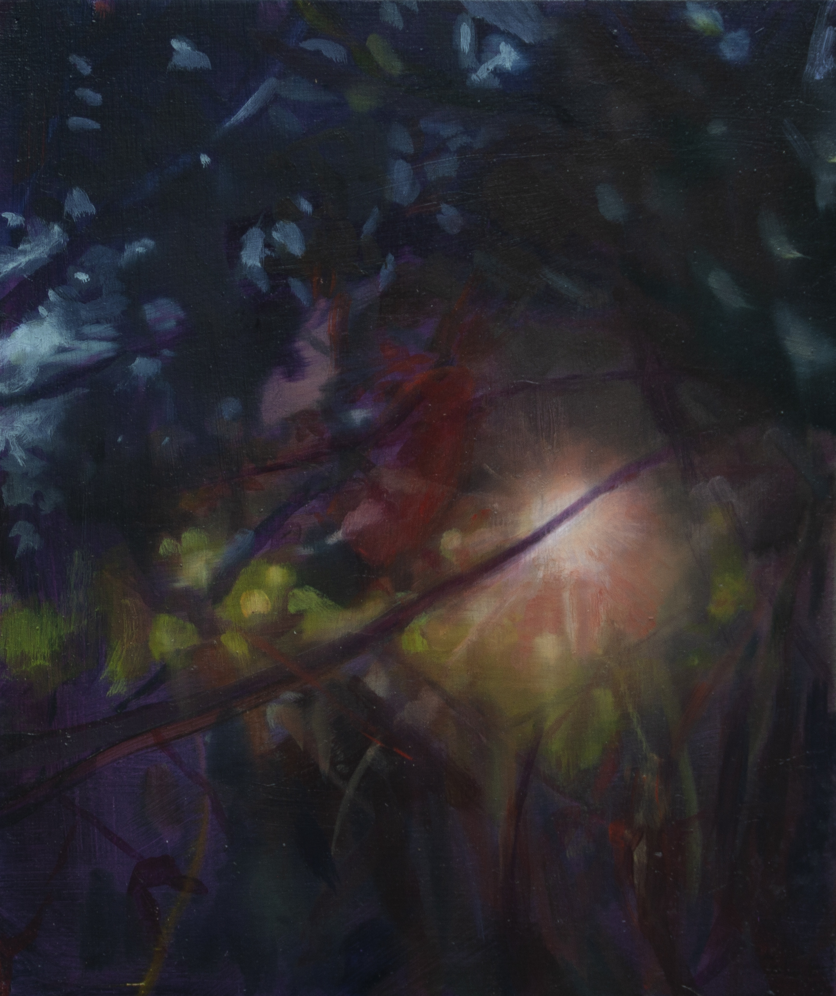 Rieselfeld Sonnenaufgang